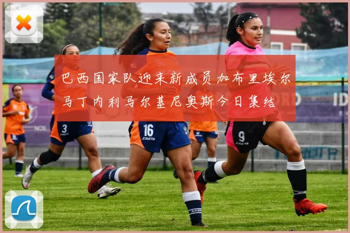 巴西国家队迎来新成员加布里埃尔马丁内利马尔基尼奥斯今日集结